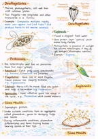 Class  11  Biology Notes | Color Handwritten Notes PDF ||Ncertguides