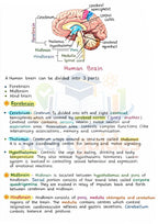 NEET Biology +Chemistry+ Physics | Topper Design Color Handwritten Notes PDF