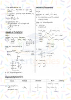 COMBO NEET Chemistry Handwritten Short Notes PDF | Formula Sheet |Full NOTES