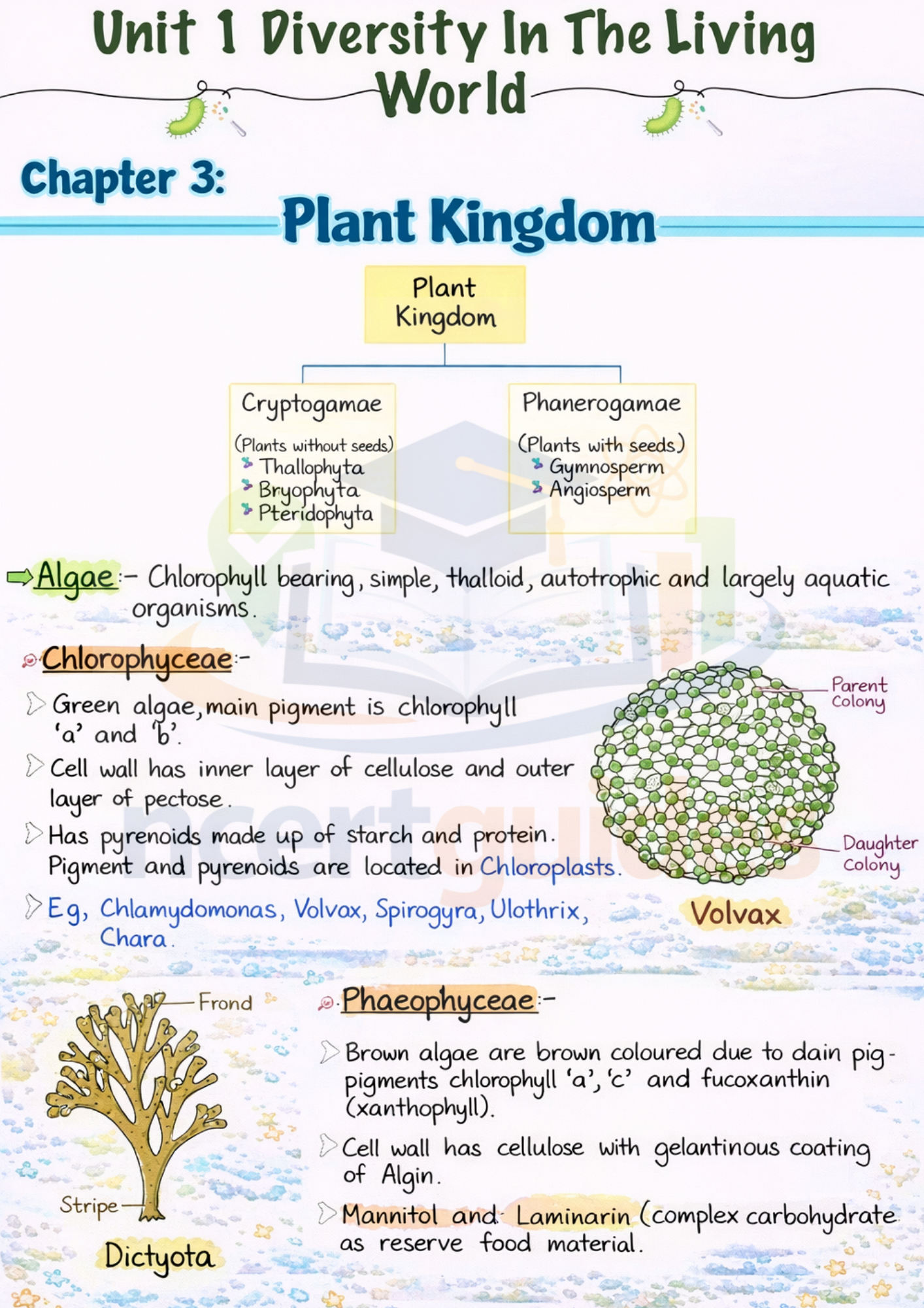 Class  11  Biology Notes | Color Handwritten Notes PDF ||Ncertguides