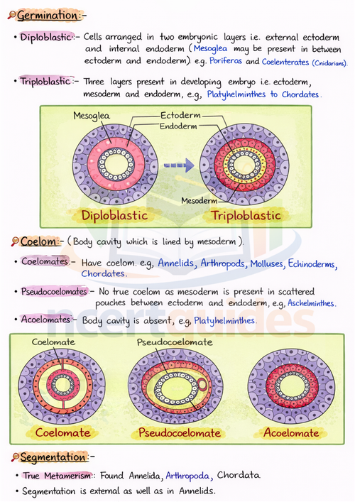 Class  11  Biology Notes | Color Handwritten Notes PDF ||Ncertguides