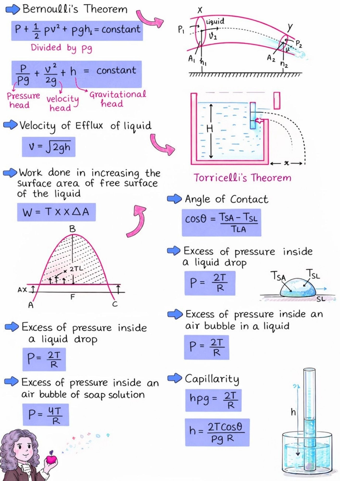 NEET Biology +Chemistry+ Physics | Topper Design Color Handwritten Notes PDF