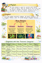 NEET Biology Short Notes |Topper Design Color Handwritten Notes PDF | 2026 2027