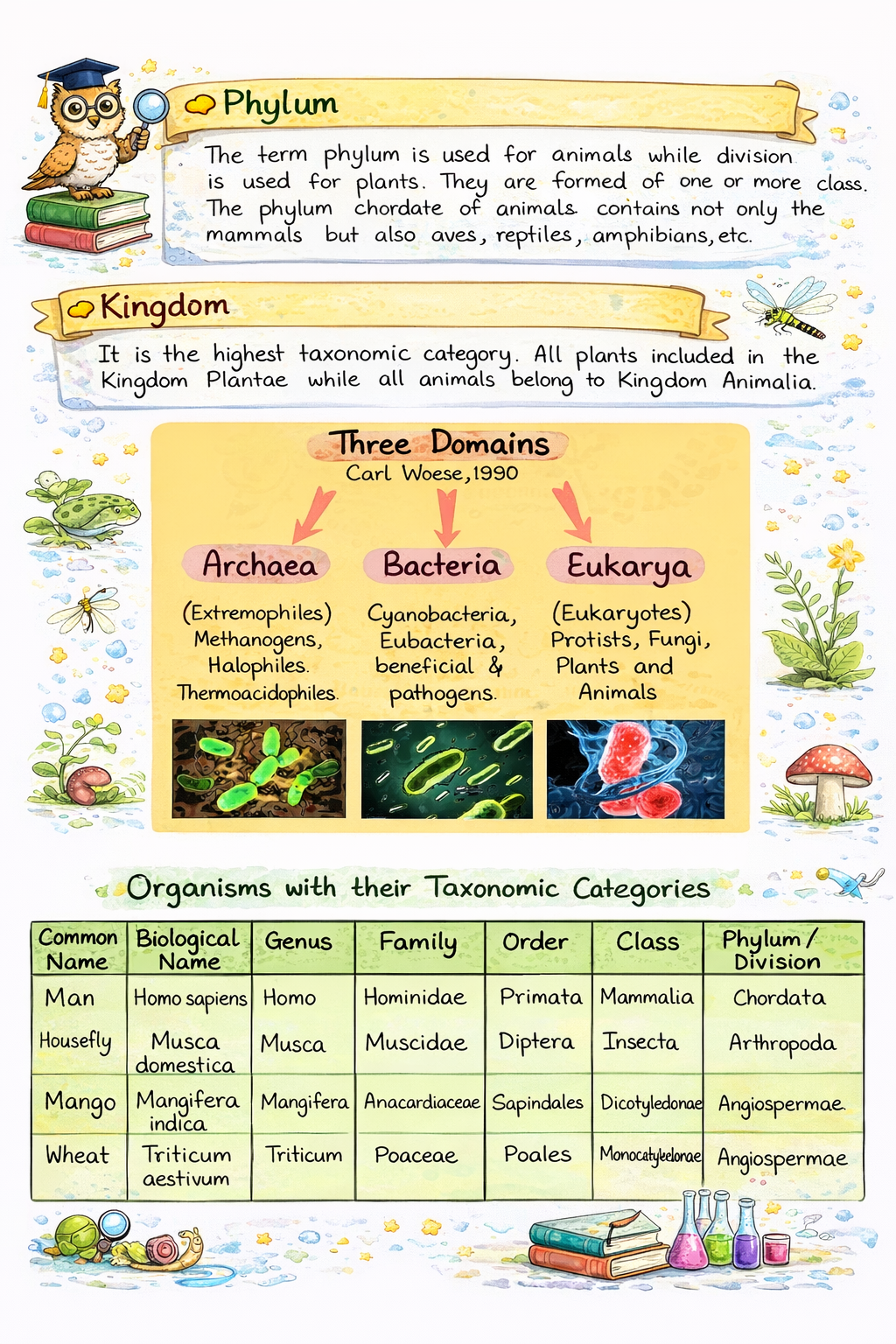 NEET Biology Short Notes |Topper Design Color Handwritten Notes PDF | 2026 2027