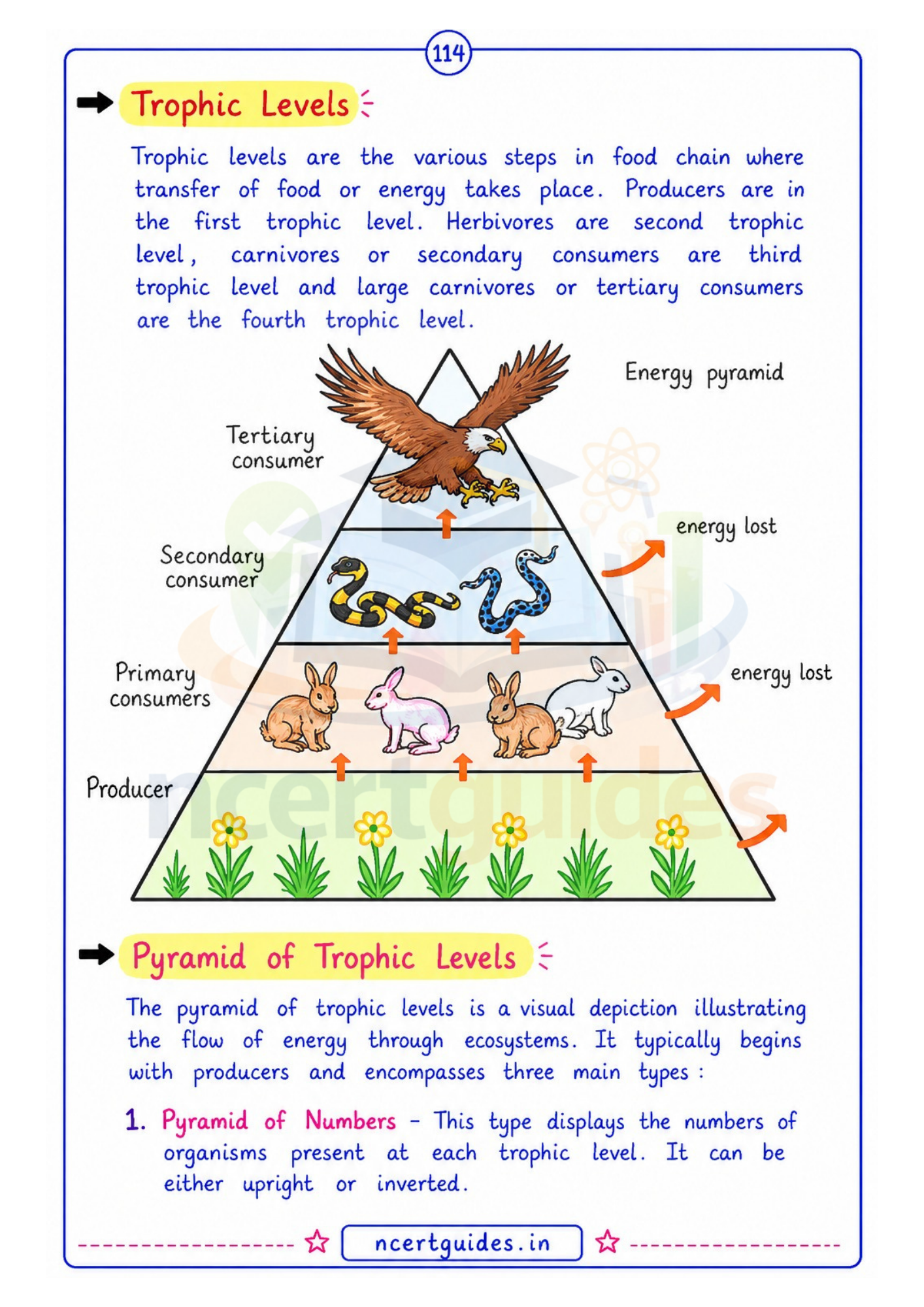Science class 10 Formula Sheet / Book / Topper's Notes / Science Notes / 2026-2027 by NcertGuides.in