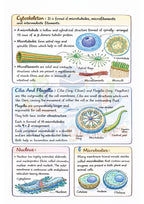 Class 11 + 12  Biology Notes | Color Handwritten Notes PDF
