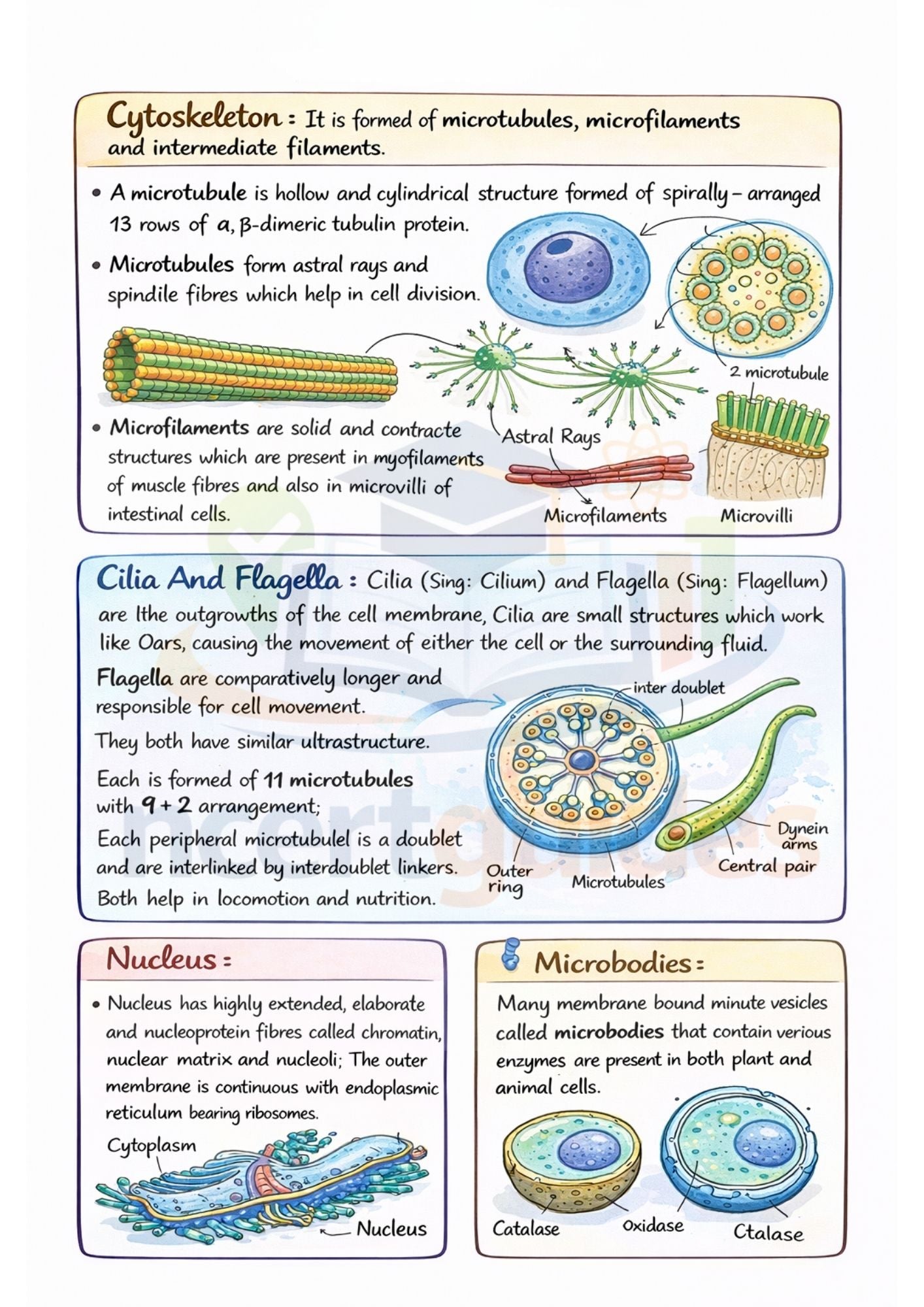 Class 11 + 12  (Math + Physics + Chemistry)  Notes | Color Handwritten Notes PDF