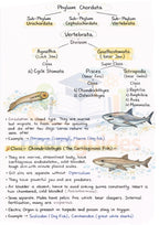 Class 11 + 12  Biology Notes | Color Handwritten Notes PDF