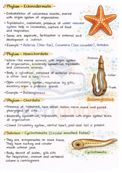 Class 11 + 12  (Biology + Physics + Chemistry)  Notes | Color Handwritten Notes PDF