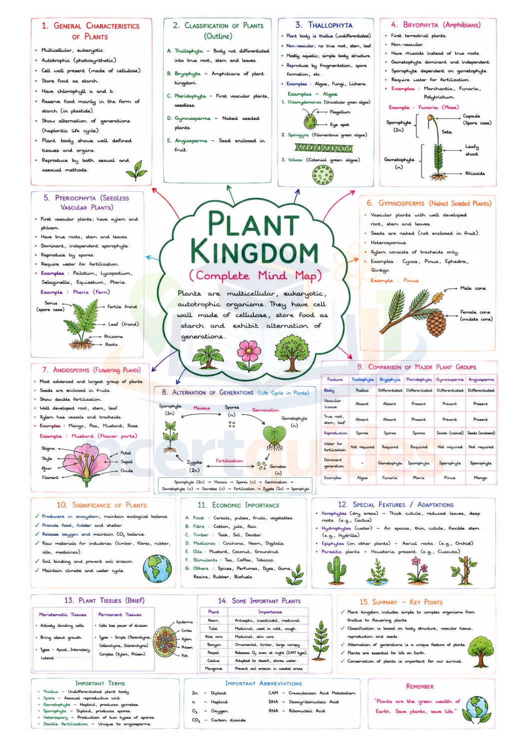 NEET Biology MindMaps 2026 - 2027 | Quick Revision Guide for NEET UG