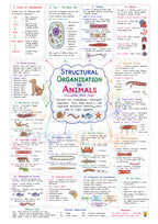 NEET Biology MindMaps 2026 - 2027 | Quick Revision Guide for NEET UG