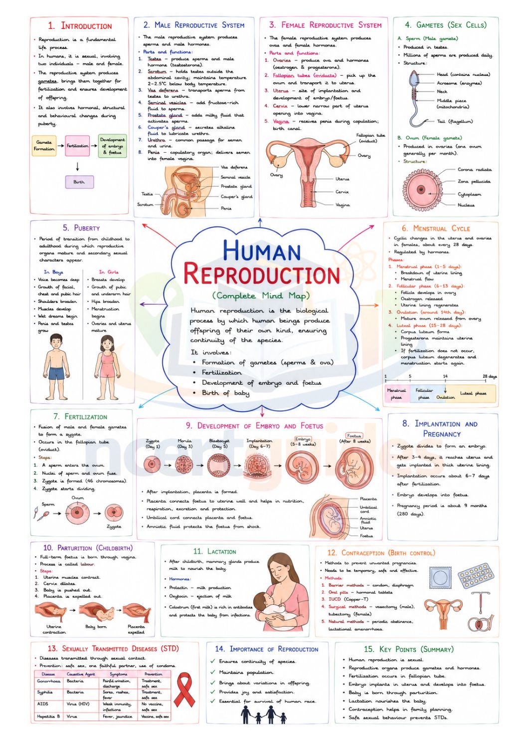 NEET Biology MindMaps 2026 - 2027 | Quick Revision Guide for NEET UG
