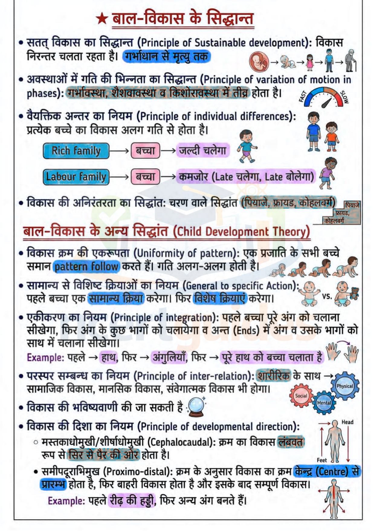 UPTET | CTET Psychology Notes 2026-2027 PDF | Complete मनोविज्ञान Notes in Hindi for UPTET